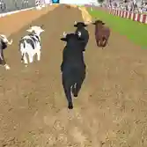 Angry Bull Racing