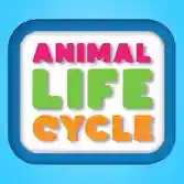 Animal Life Cycle
