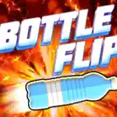 Bottle Flip Challenge