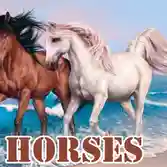 Horses Slide