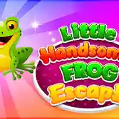Little Handsome Frog Escape