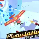 Plane In The Hole D