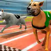 Real Dog Racing Simulator 3D