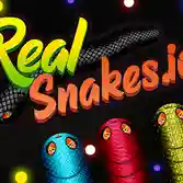 Real Snakes.io