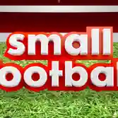 Small Football